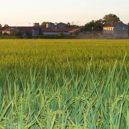 Çiftlik konaklama Cascina Battivacco